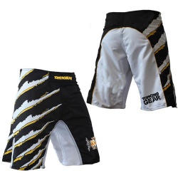 Custom Made Sublimated MMA Shorts/ MMA Gear Shorts