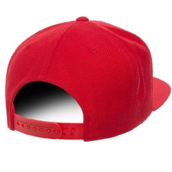 Snapback Hat:-