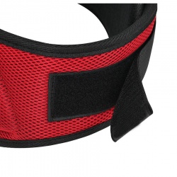 Weightlifting Embossed Gym Belt:-